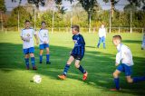 Hoedekenskerke/Kwadendamme JO12-1 - S.K.N.W.K. JO12-1 (competitie) seizoen 2018-2019 (najaar) (3/20)