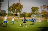 Hoedekenskerke/Kwadendamme JO12-1 - S.K.N.W.K. JO12-1 (competitie) seizoen 2018-2019 (najaar) (4/20)