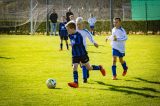 Hoedekenskerke/Kwadendamme JO12-1 - S.K.N.W.K. JO12-1 (competitie) seizoen 2018-2019 (najaar) (9/20)