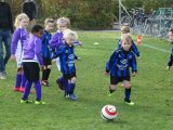 Jeugdwedstrijd sportpark 'Het Springer' van zaterdag 3 november 2018 (88/297)