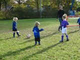 Jeugdwedstrijd sportpark 'Het Springer' van zaterdag 3 november 2018 (115/297)