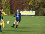 Jeugdwedstrijd sportpark 'Het Springer' van zaterdag 3 november 2018 (204/297)