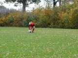 Jeugdwedstrijd sportpark 'Het Springer' van zaterdag 10 november 2018 (240/287)