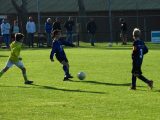 Jeugdwedstrijd sportpark 'Het Springer' van zaterdag 13 oktober 2018 (25/135)