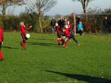 Jeugdwedstrijd sportpark 'Het Springer' van zaterdag 17 november 2018 (32/146)