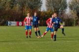 S.K.N.W.K. 1 - D.w.O. '15 1  (competitie) seizoen 2018-2019 (12/60)