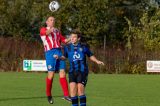 S.K.N.W.K. 1 - D.w.O. '15 1  (competitie) seizoen 2018-2019 (20/60)