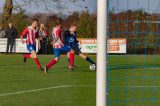 S.K.N.W.K. 1 - D.w.O. '15 1  (competitie) seizoen 2018-2019 (35/60)