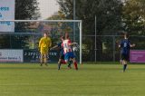 S.K.N.W.K. 1 - D.w.O. '15 1  (competitie) seizoen 2018-2019 (48/60)