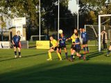 S.K.N.W.K. JO15-1 - Halsteren JO15-3 (competitie) seizoen 2018-2019 (najaar) (6/32)