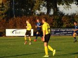 S.K.N.W.K. JO15-1 - Halsteren JO15-3 (competitie) seizoen 2018-2019 (najaar) (13/32)