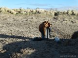 Strandtraining S.K.N.W.K. JO17-1 en JO17-2 van zaterdag 10 februari  2018 (18/163)