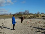 Strandtraining S.K.N.W.K. JO17-1 en JO17-2 van zaterdag 10 februari  2018 (46/163)