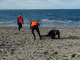 Strandtraining S.K.N.W.K. JO17-1 en JO17-2 van zaterdag 10 februari  2018 (123/163)