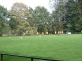 Vrederust 1 - S.K.N.W.K. 1 (competitie) seizoen 2018-2019 (3/86)