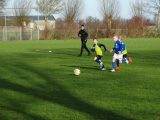 Jeugdwedstrijden sportpark ‘Het Springer’ van zaterdag 9 februari 2019 (2/260)