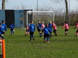 Jeugdwedstrijden sportpark ‘Het Springer’ van zaterdag 9 februari 2019 (114/260)