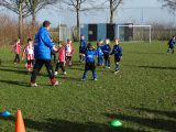 Jeugdwedstrijden sportpark ‘Het Springer’ van zaterdag 9 februari 2019 (158/260)