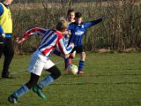 Jeugdwedstrijden sportpark ‘Het Springer’ van zaterdag 16 februari 2019 (38/191)