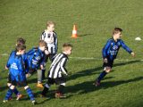 Jeugdwedstrijden sportpark ‘Het Springer’ van zaterdag 16 februari 2019 (89/191)