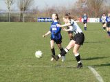 Jeugdwedstrijden sportpark ‘Het Springer’ van zaterdag 16 februari 2019 (169/191)