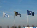 Jeugdwedstrijden sportpark ‘Het Springer’ van zaterdag 16 februari 2019 (183/191)