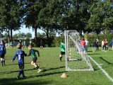 Jeugdwedstrijden sportpark ‘Het Springer’ van zaterdag 21 september 2019 (112/189)