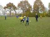 Jeugdwedstrijden sportpark ‘Het Springer’ van zaterdag 23 november 2019 (95/162)