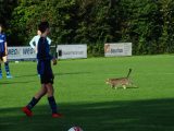 Jeugdwedstrijden sportpark ‘Het Springer’ van zaterdag 28 september 2019 (41/233)