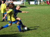 Jeugdwedstrijden sportpark ‘Het Springer’ van zaterdag 31 augustus 2019 (154/221)