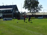 Jeugdwedstrijden sportpark ‘Het Springer’ van zaterdag 31 augustus 2019 (209/221)