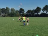 Laatste training S.K.N.W.K. JO11-1 van dit seizoen (57/110)