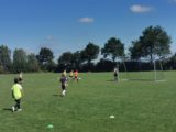 Laatste training S.K.N.W.K. JO11-1 van dit seizoen (64/110)