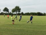 Laatste training S.K.N.W.K. JO13-1 van dit seizoen (2/25)