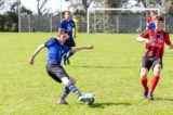 S.K.N.W.K. 1 - Colijnsplaatse Boys 1 (beker) seizoen 2020-2021 (fotoboek 2) (3/74)