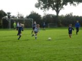 S.K.N.W.K. JO11-1 - M.Z.C. '11 JO11-4 (competitie) najaar fase 1 seizoen 2020-2021 (31/60)