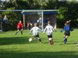 S.K.N.W.K. JO9-1 - M.Z.C. '11 JO9-3 (competitie) najaar fase 1 seizoen 2020-2021 (9/116)