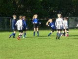 S.K.N.W.K. JO9-1 - M.Z.C. '11 JO9-3 (competitie) najaar fase 1 seizoen 2020-2021 (19/116)