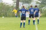 S.K.N.W.K. JO15-1 - FC Dauwendaele JO15-1 (Regiocup) (10/46)