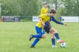 S.K.N.W.K. JO15-1 - FC Dauwendaele JO15-1 (Regiocup) (42/46)