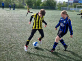 Tholense Boys JO10-3 - S.K.N.W.K. JO10-1 (competitie) 2023-2024 (4e fase) (5/40)