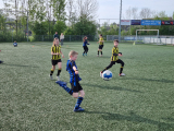 Tholense Boys JO10-3 - S.K.N.W.K. JO10-1 (competitie) 2023-2024 (4e fase) (18/40)