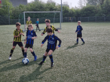 Tholense Boys JO10-3 - S.K.N.W.K. JO10-1 (competitie) 2023-2024 (4e fase) (26/40)